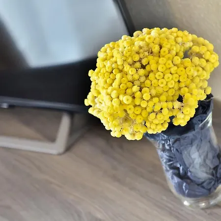 Apartament Perić Meka Draga