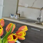 Apartment Peric Meka Draga *