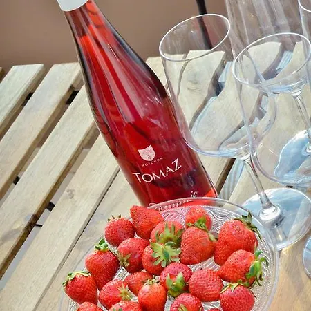 Peric Meka Draga Apartment *