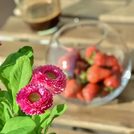 Peric Meka Draga * 奥布罗瓦茨