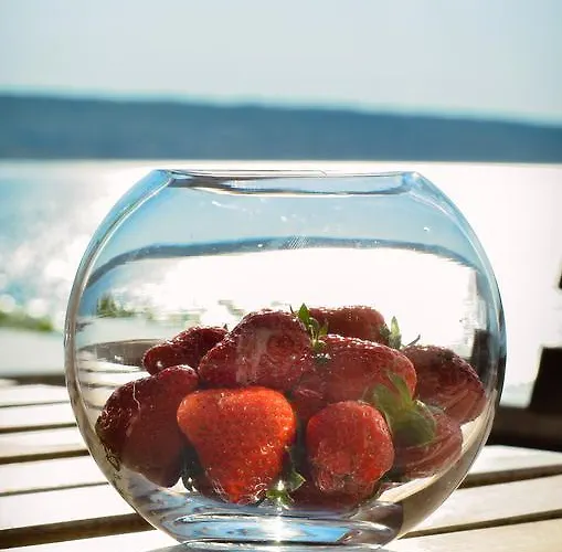 Апартаменты Peric Meka Draga *