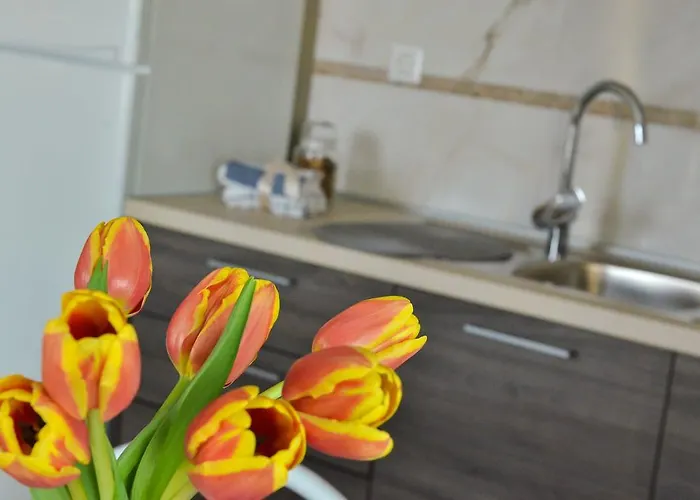 Апартаменты Peric Meka Draga *